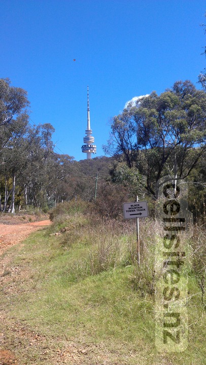 Telstra Tower