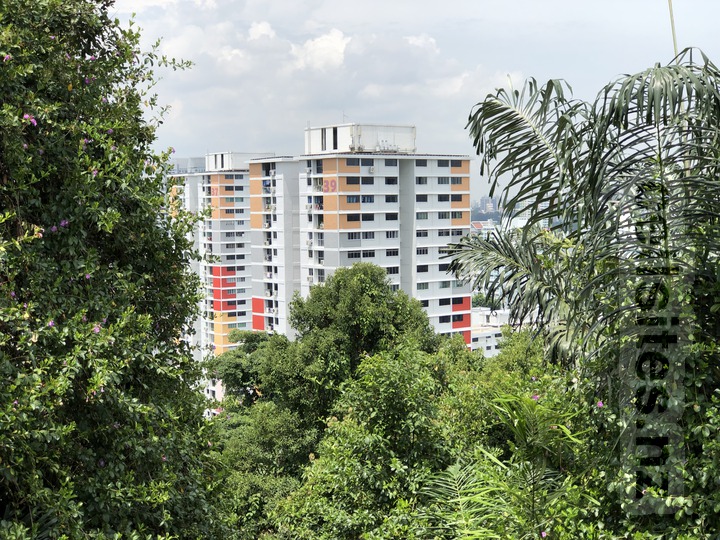 Telok Blangah Rise